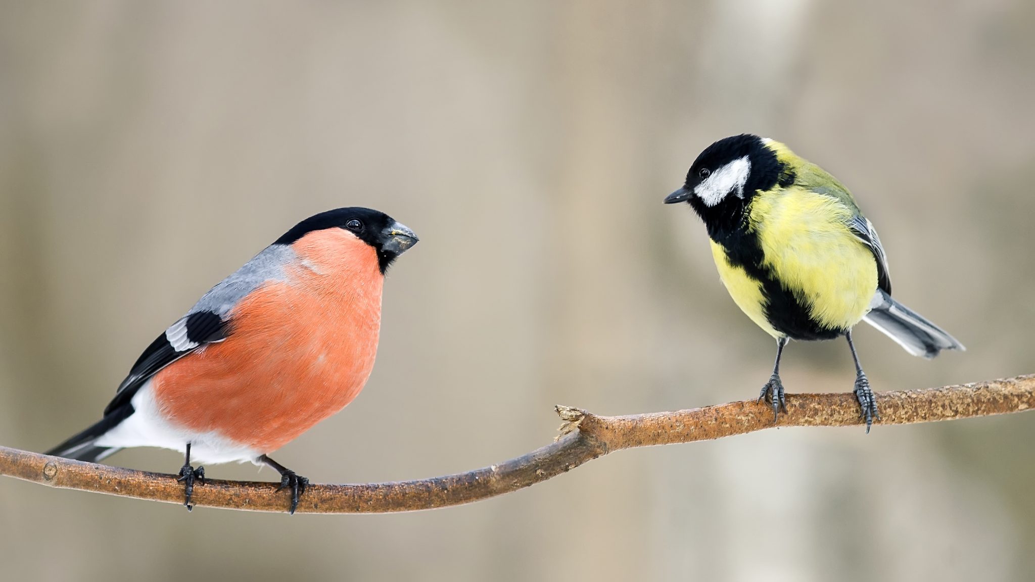 Environmental Defence Fund Donation Environmental Defence Fund Donation