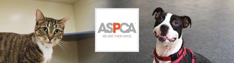 aspca-donation_6cffe439d.jpg
