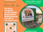 aspca-donations_378219556.jpg