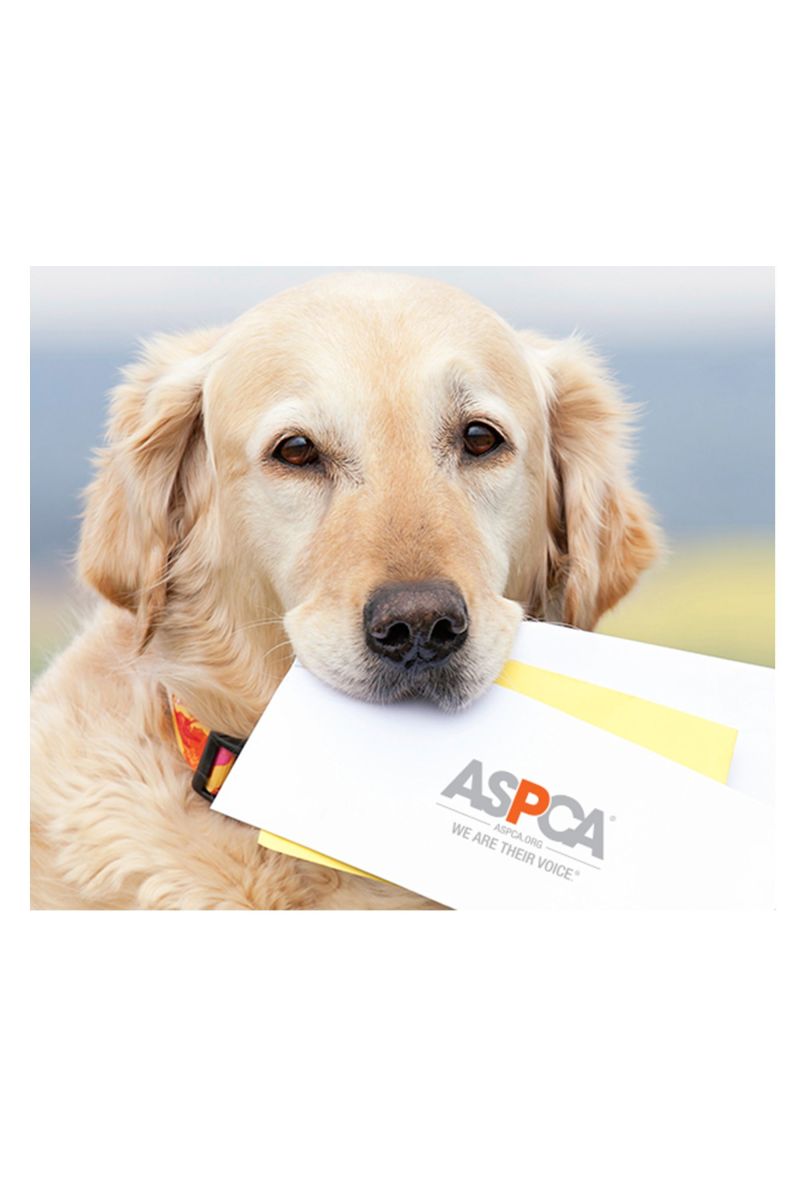 aspca-gift-donation_e619c7f9b.jpg
