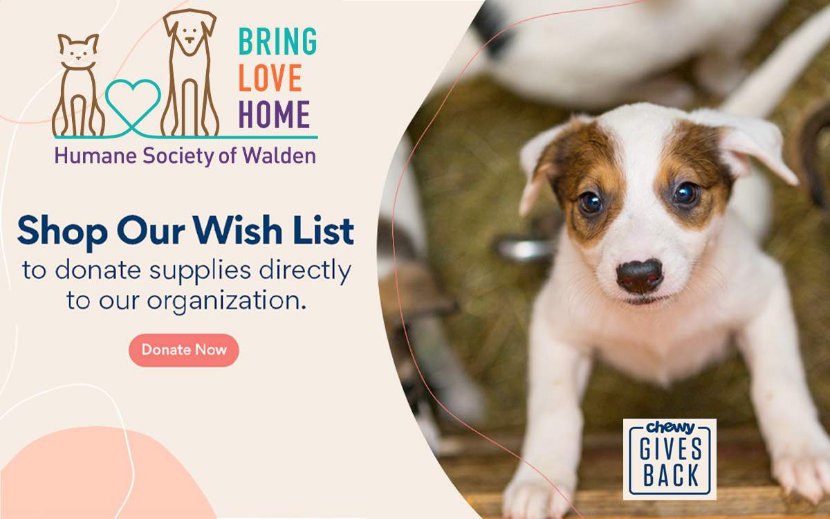 Donate Aspca Donate Aspca