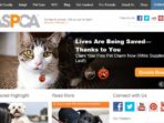 donate-aspca_78312835f.jpg