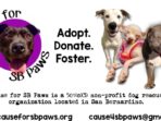 donate-for-animal-rescue_60ab10d53.jpg