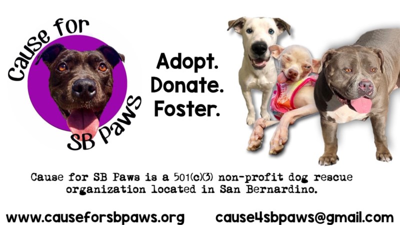 donate-for-animal-rescue_60ab10d53.jpg