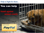 donate-to-the-spca_77684845a.jpg