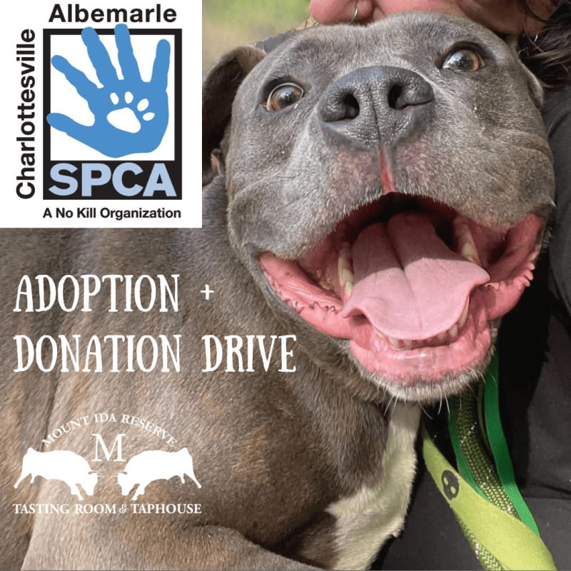 donations-to-spca_e1ee79ef9.jpg