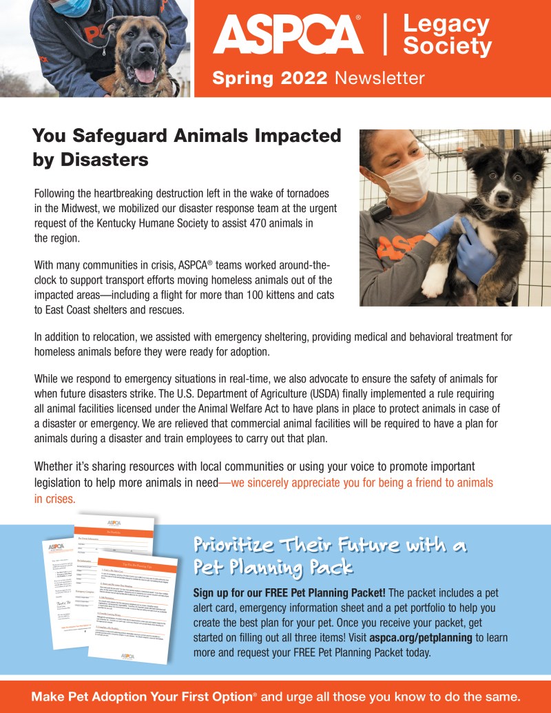 how-to-donate-to-aspca_ae3a63d52.jpg