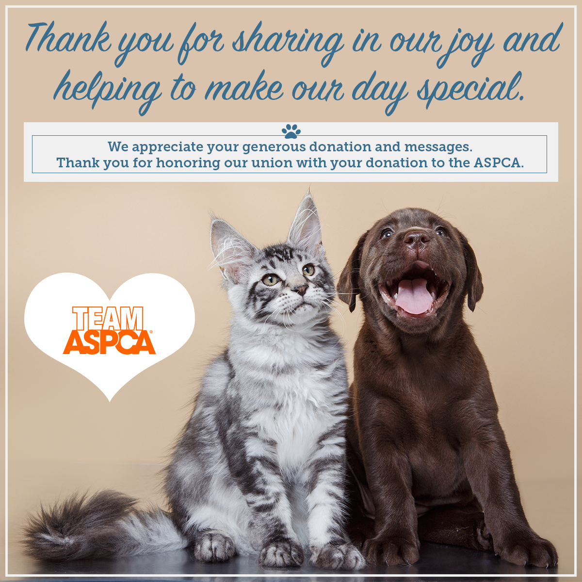 Donate Aspca Donate Aspca