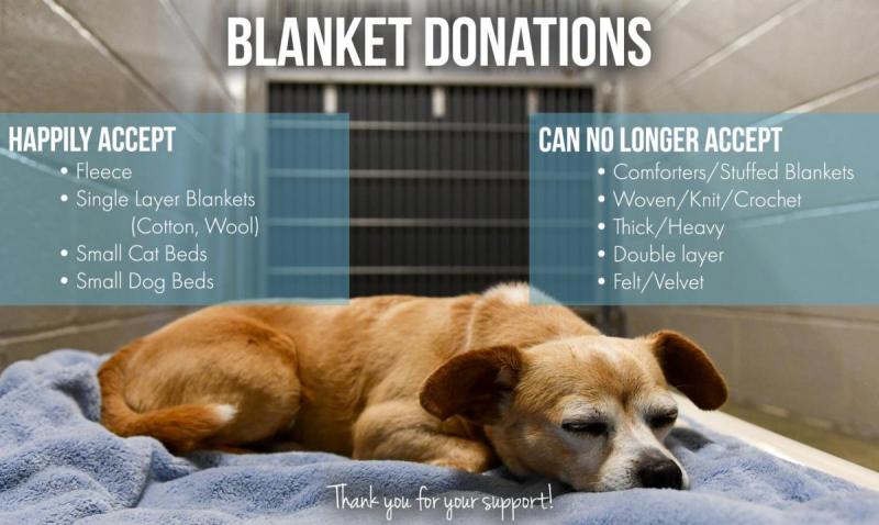 spca-donation_d3506b799.jpg
